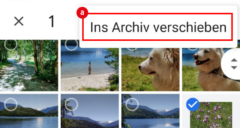 Google Fotos: So schützen Sie Ihre Privatsphäre