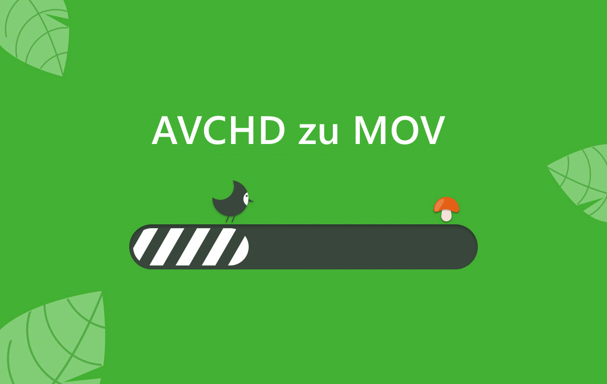 So konvertieren Sie AVCHD in MOV