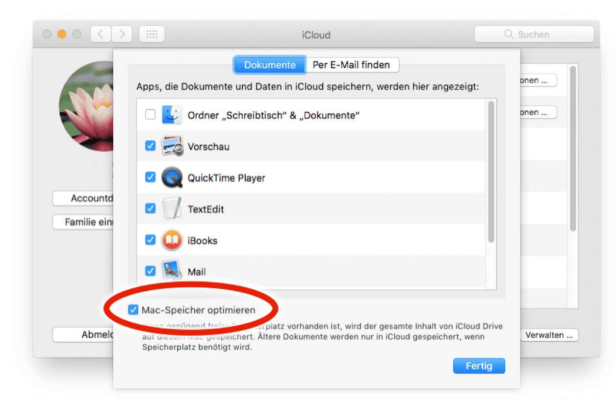 Klicken Sie auf Mac-Spiecher optimieren