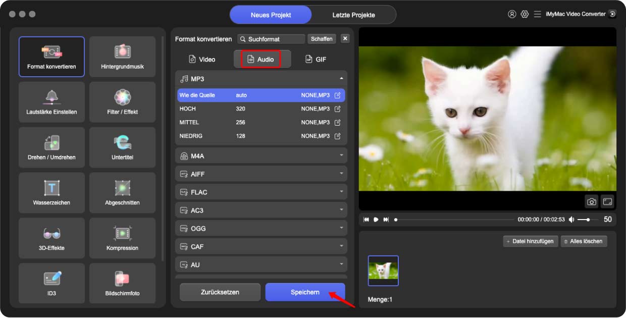 Konvertieren Sie MP2 in OGG mit iMyMac Video Converter