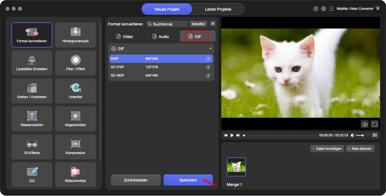 Konvertieren Sie TS mit iMyMac Video Converter in GIF