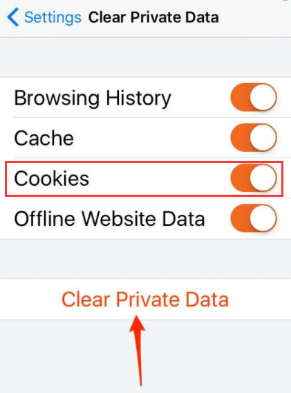 Cookies in Firefox auf dem iPhone löschen