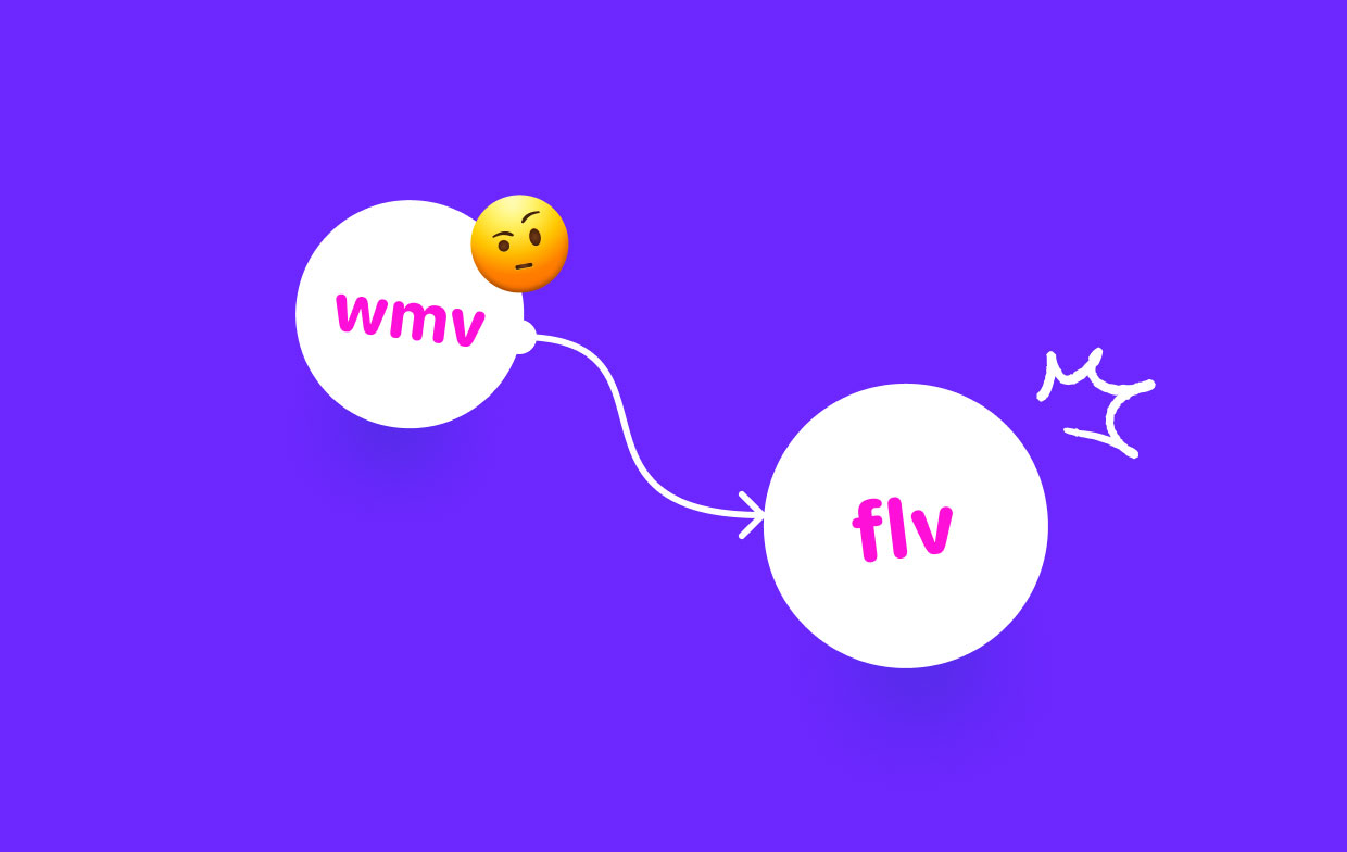 Eine umfassende Anleitung zum Konvertieren von WMV in FLV