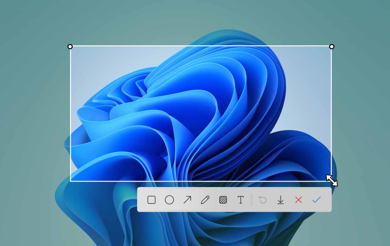Machen Sie Screenshots unter Windows 11