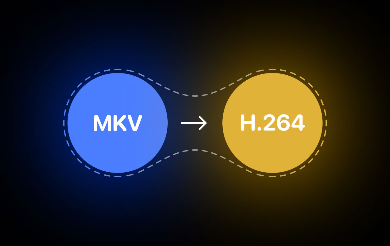 So konvertieren Sie MKV in H.264