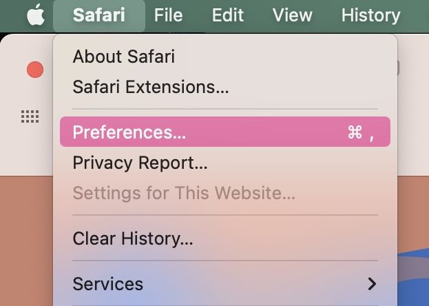 Entfernen Sie den Binarymove-Virus aus Safari