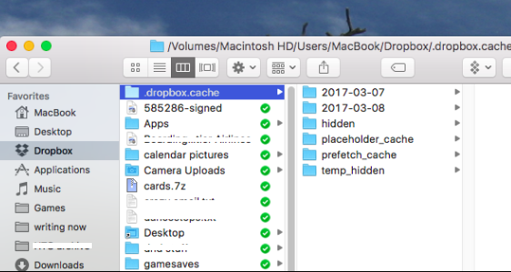 Löschen Sie den Dropbox-Cache auf dem Mac