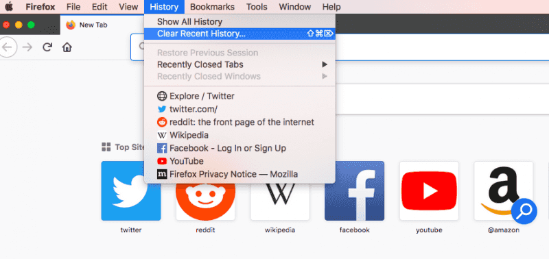Löschen Sie Downloads auf dem Mac von Firefox