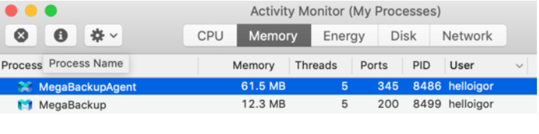 Entfernen von MegaBackup auf Ihrem Aktivitätsmonitor (Meine Prozesse)