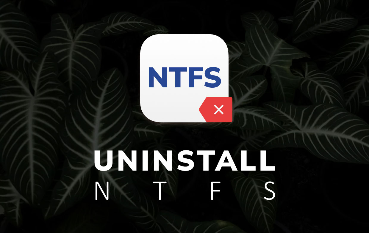 Deinstallieren Sie NTFS für Mac