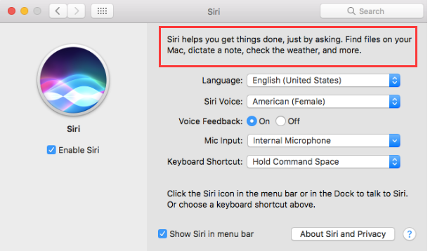 Verwenden Sie Siri Pane in den Mac-Systemeinstellungen