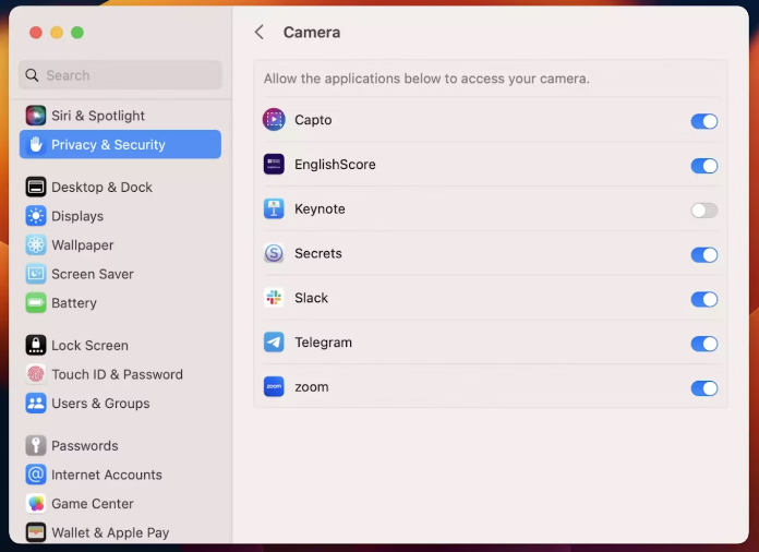 Ausgegrautes Photo Booth-Video auf dem Mac reparieren