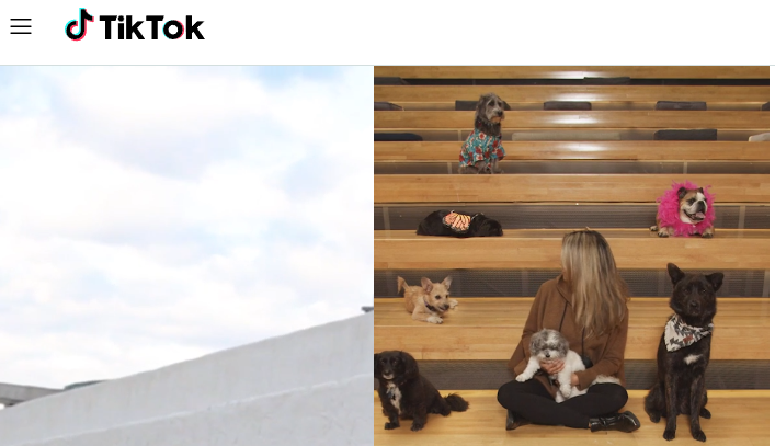 Kostenlose Online-Game-Streaming-Plattform – TikTok