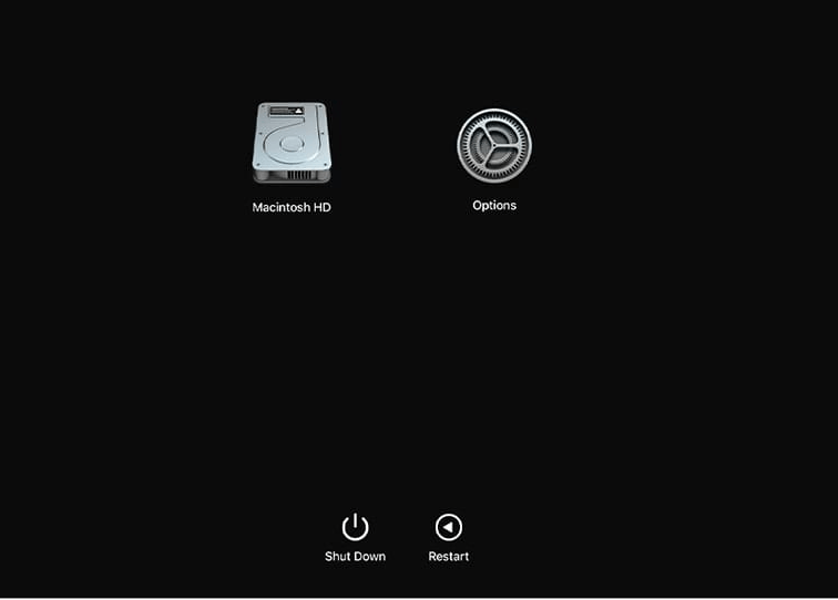 Starten Sie den M1-Mac im Mac-Wiederherstellungsmodus