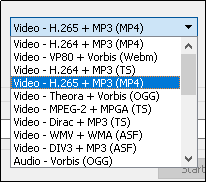 Konvertieren Sie WMV über VLC in MP3