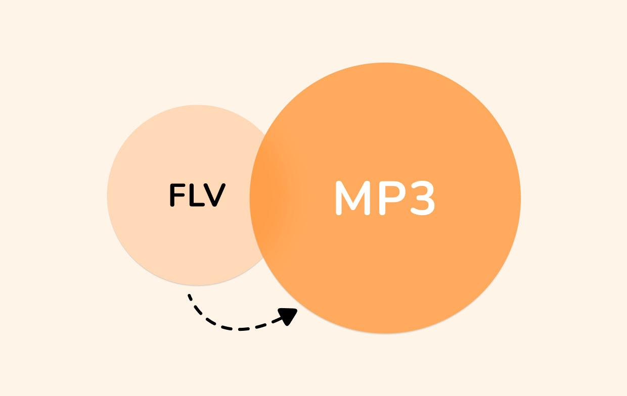 Konvertieren Sie FLV in MP3