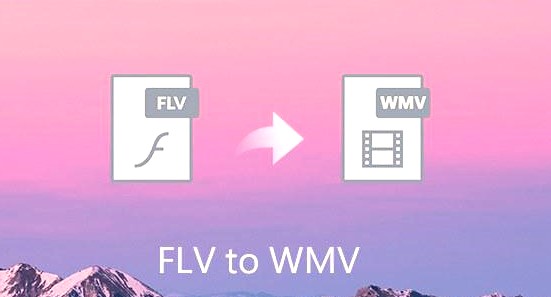 Wie man FLV in WMV konvertiert