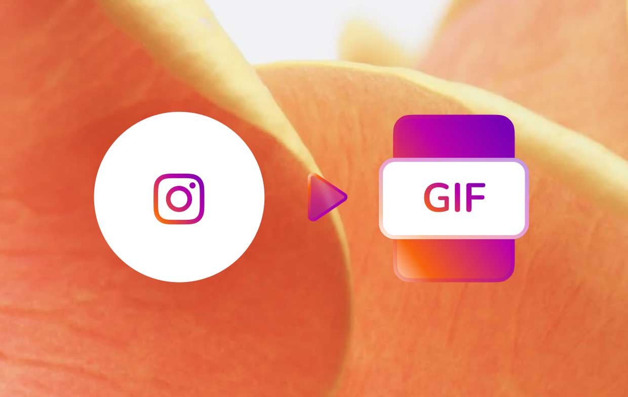So konvertieren Sie Instagram-Videos in GIF