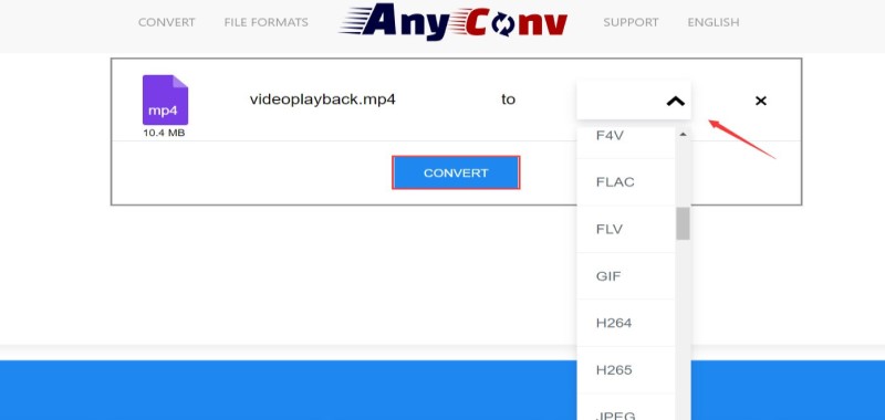 AnyConv Online-DAT-Konverter