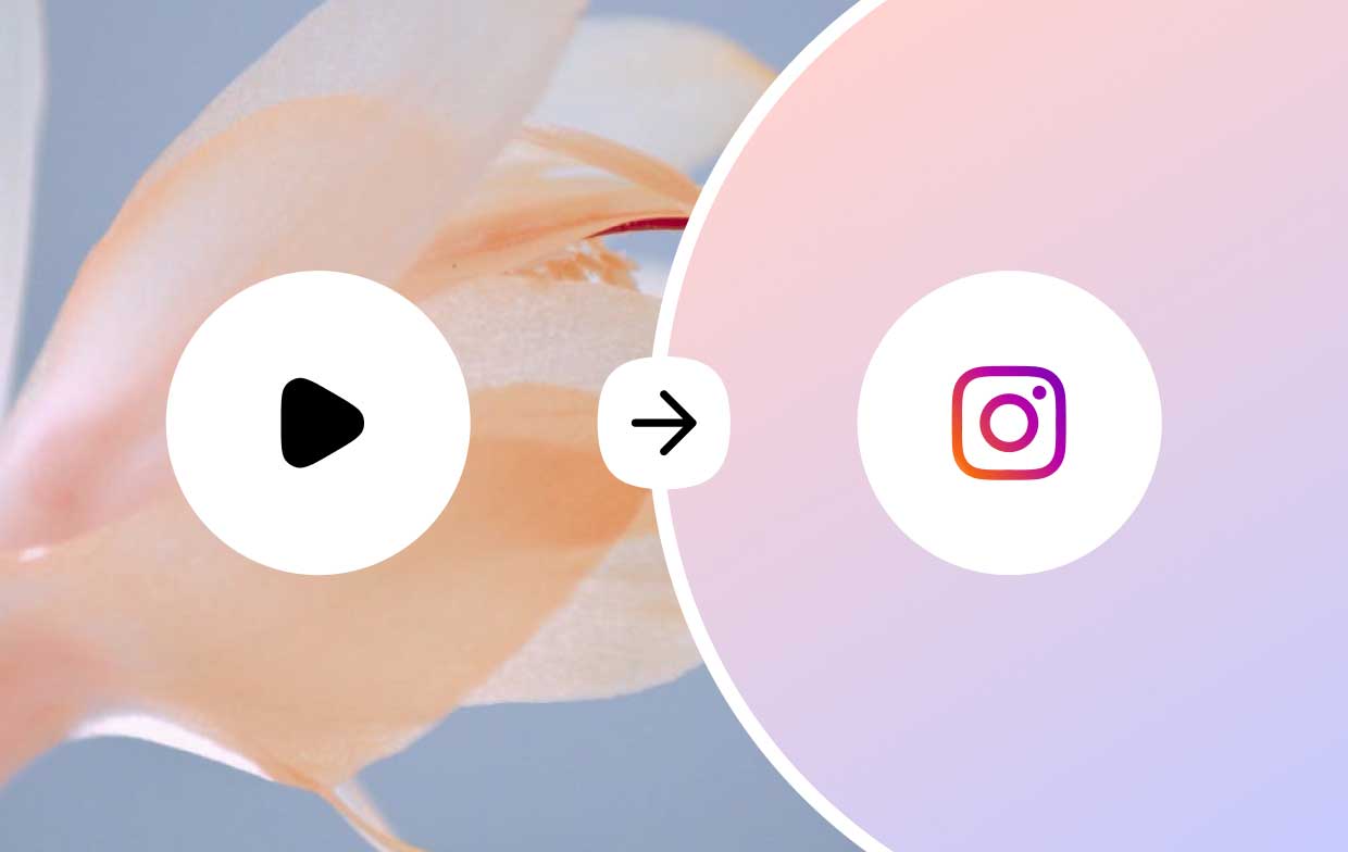 So konvertieren Sie Videos in das Instagram-Format