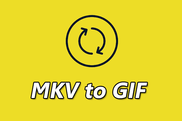 Konvertieren Sie MKV in GIF auf einfache Weise