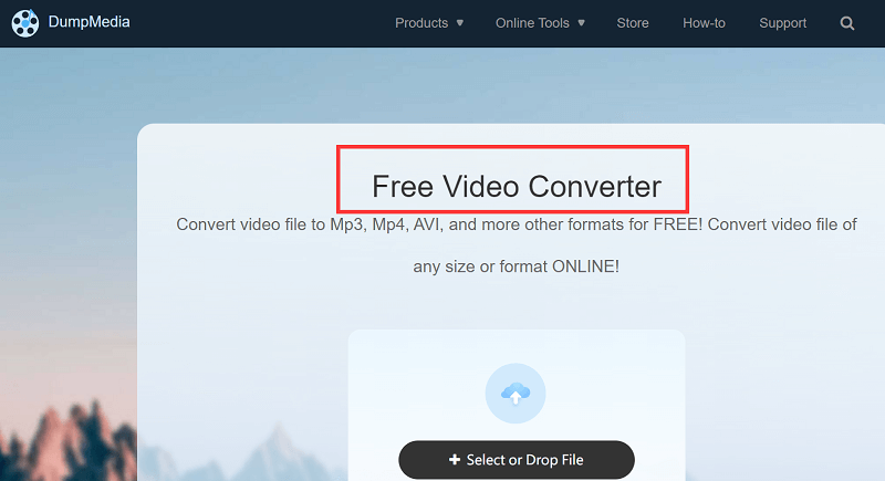 DumpMedia Online-Videokonverter