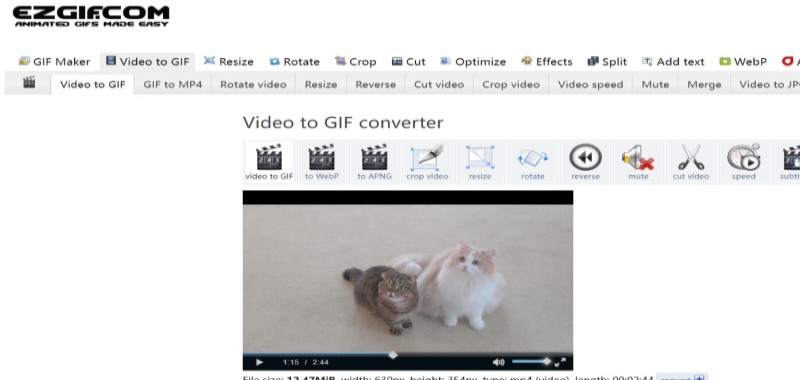 Online M4V zu GIF Konverter