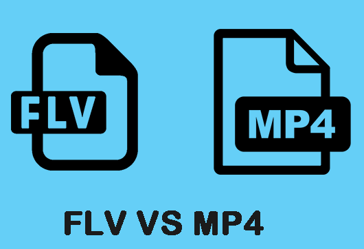 FLV vs. MP4