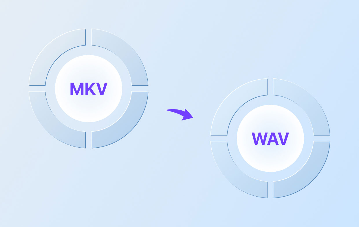 So konvertieren Sie MKV in WAV