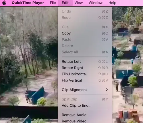Verwenden Sie QuickTime, um MOV zu konvertieren