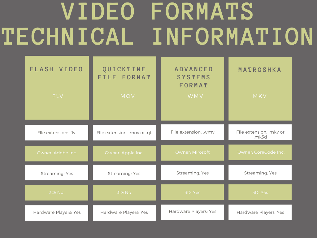 Einfache Information von FLV und MKV