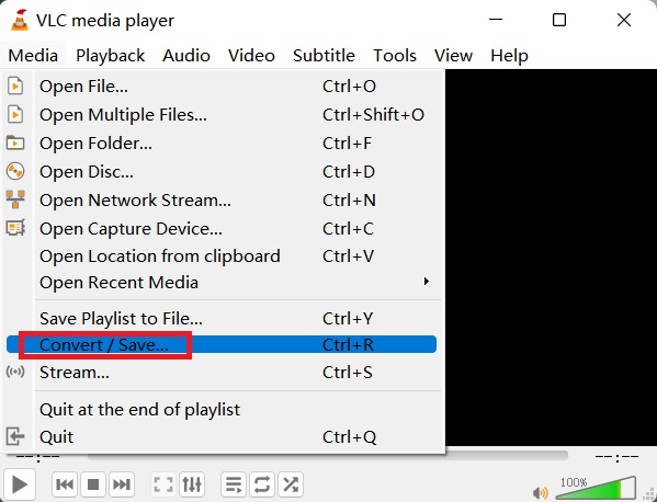 Verwenden Sie den VLC Media Player, um MP4 in TS zu konvertieren