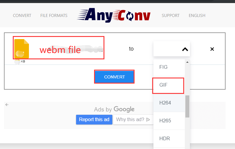 Konvertieren Sie WebM in GIF mit einem beliebigen Conv